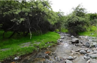 鹿歡喜官網(wǎng)