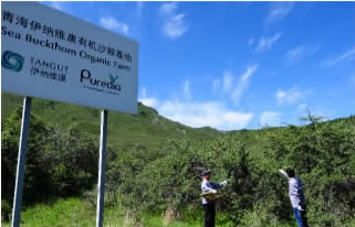 鹿歡喜官網(wǎng)